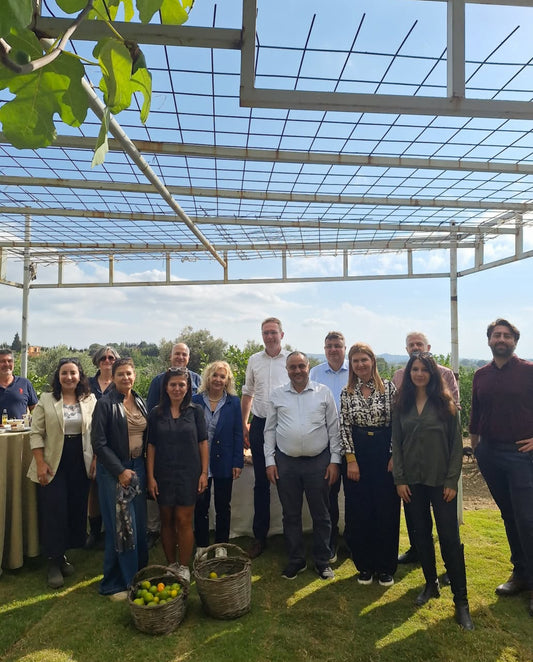 Mandarin Farm Tour - The7 farm