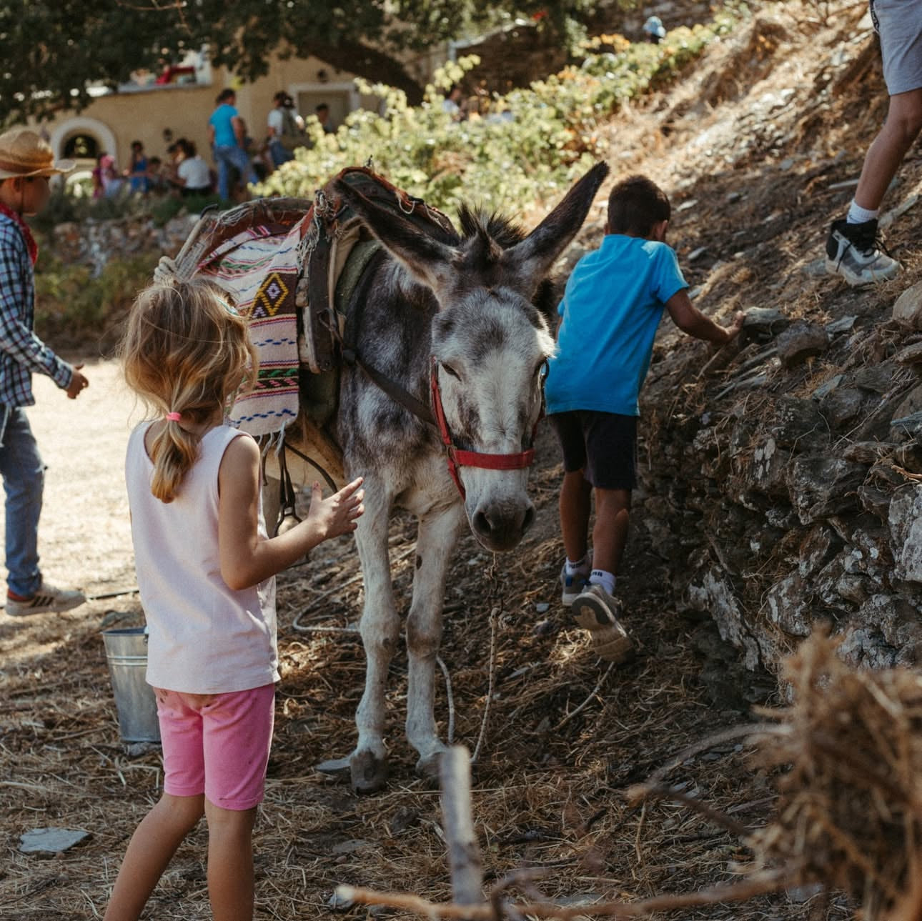 Farm Wellness & Bio Cooking Experience