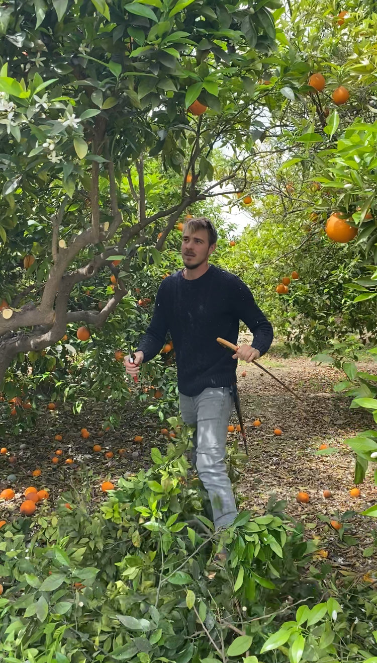 Regenerative Gardening & Permaculture Experience