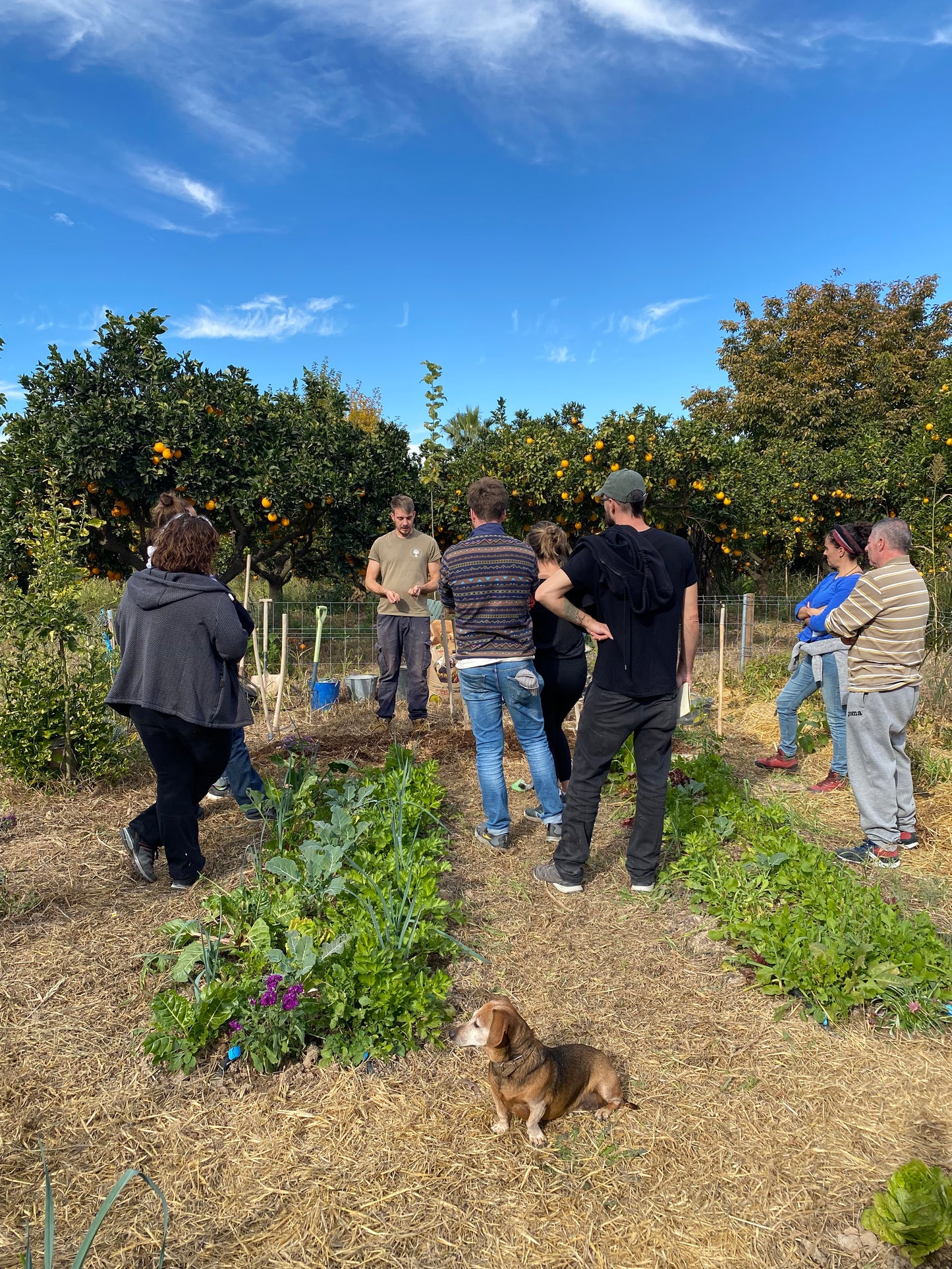 Regenerative Gardening & Permaculture Experience