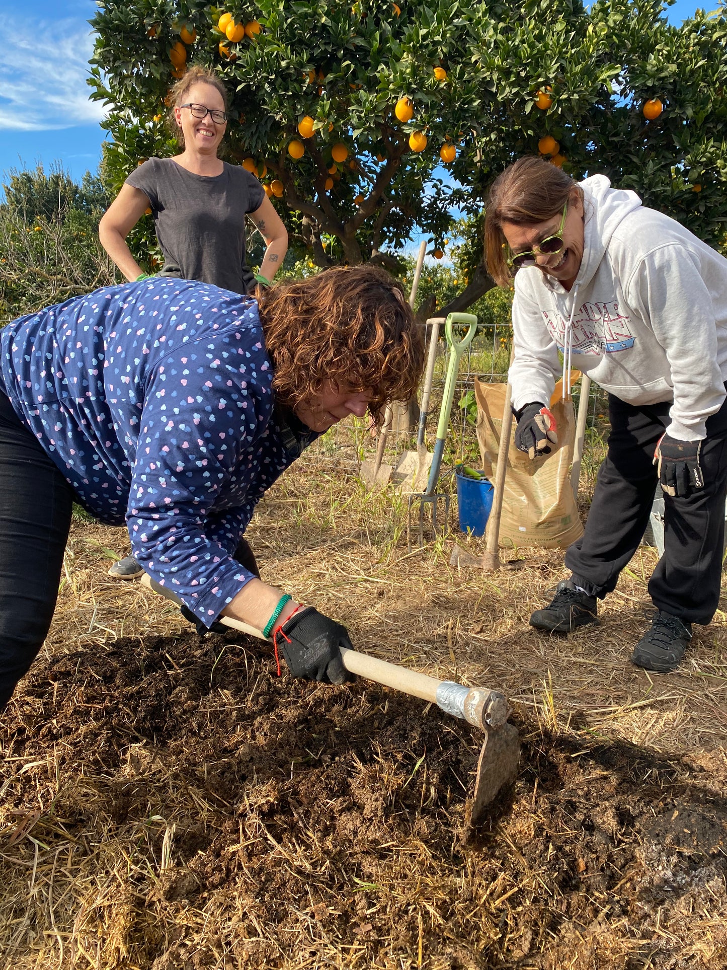 Regenerative Gardening & Permaculture Experience