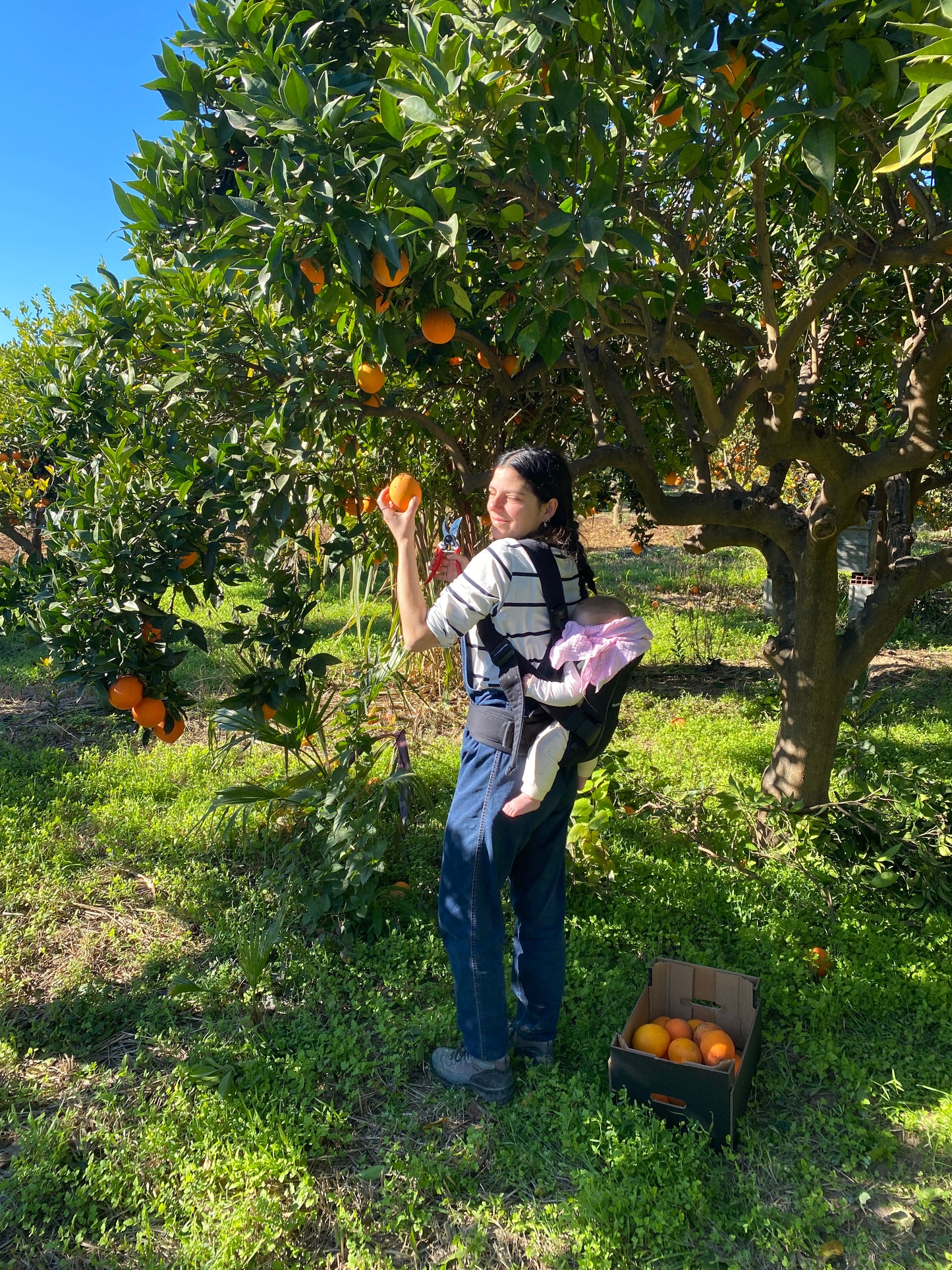 Regenerative Gardening & Permaculture Experience