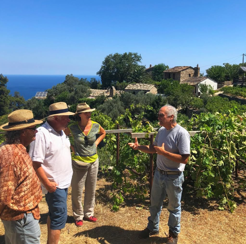 Wine tasting & Vineyard experience– Karimalis Estate