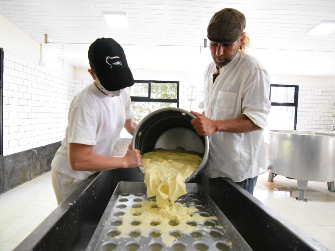 Artisan Cheese & Organic Farm Experience – La Vigna Láctea