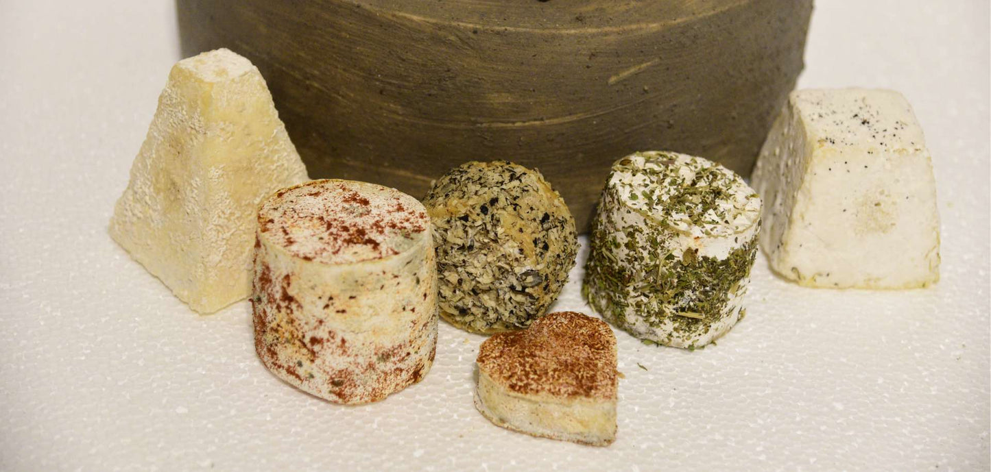 Artisan Cheese & Organic Farm Experience – La Vigna Láctea