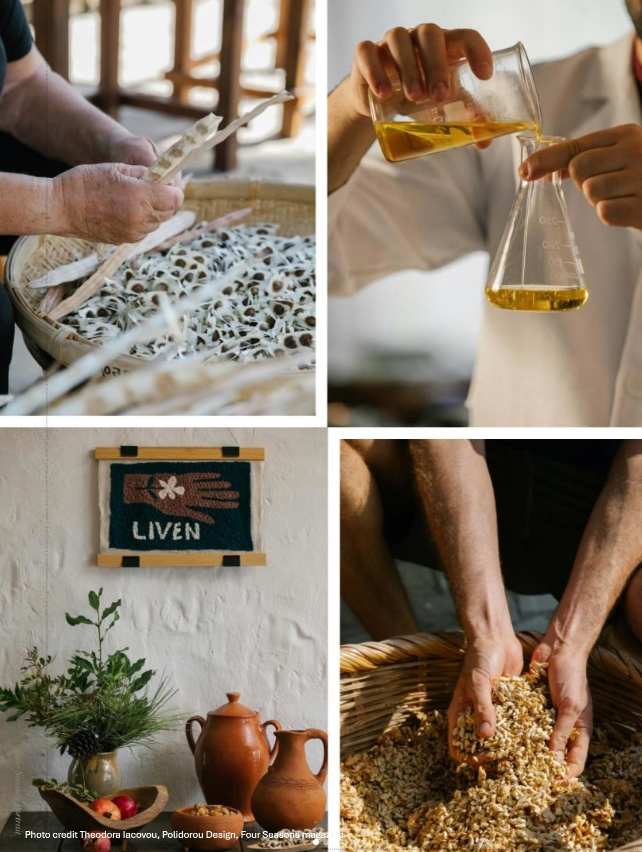 Botanical Body Oil Workshop – Liven Cyprus