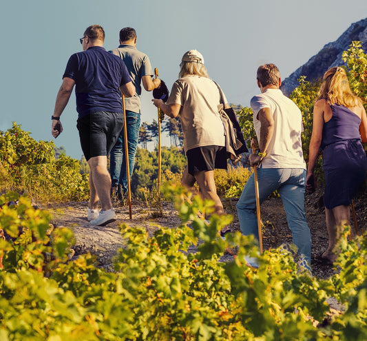 METAXA Tour & Cocktail Experience in Samos