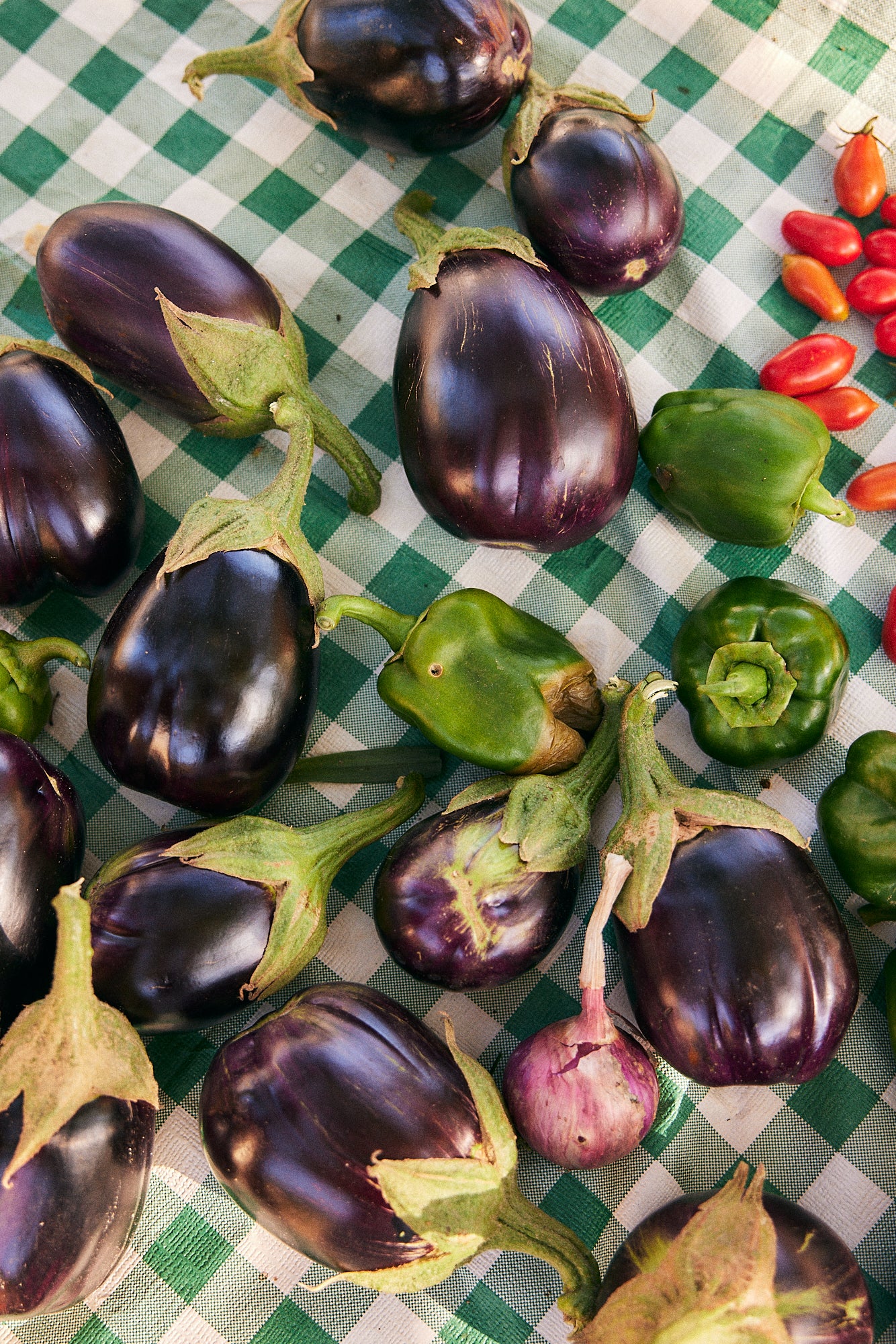 Farm Wellness & Bio Cooking Experience