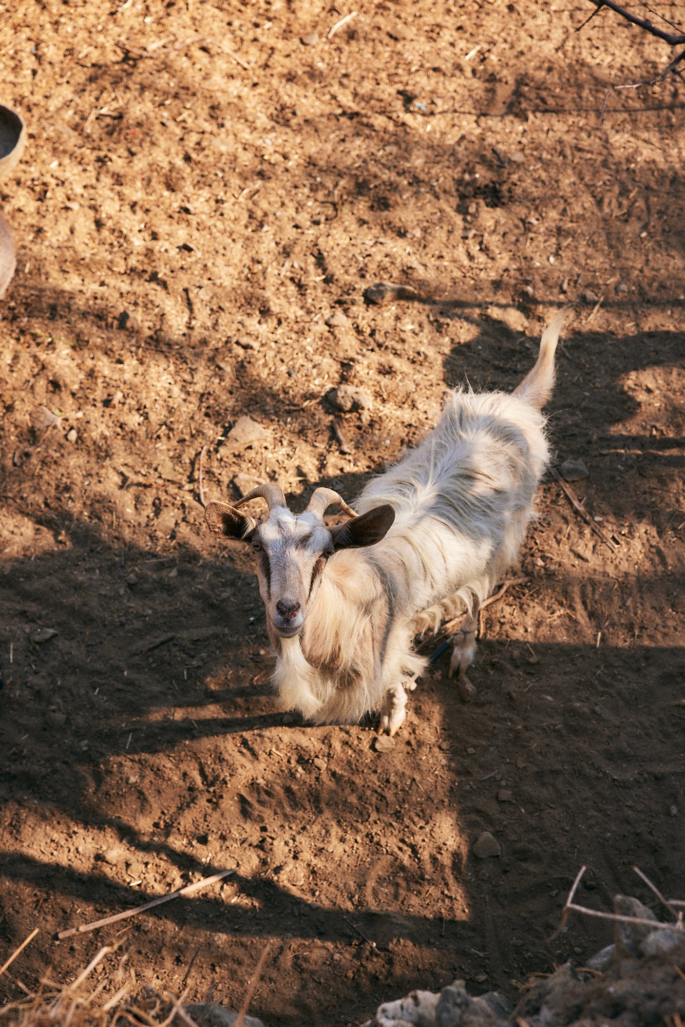 Farm Wellness & Bio Cooking Experience