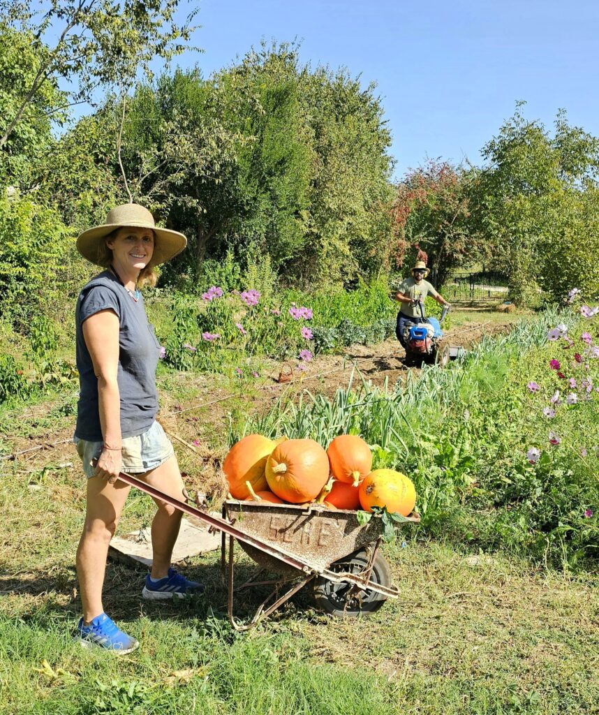 Authentic Sicilian Cooking Class - Slow Life Family Farm