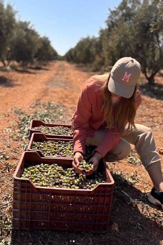 Olive Farm Tour - Ganias Natural Farm