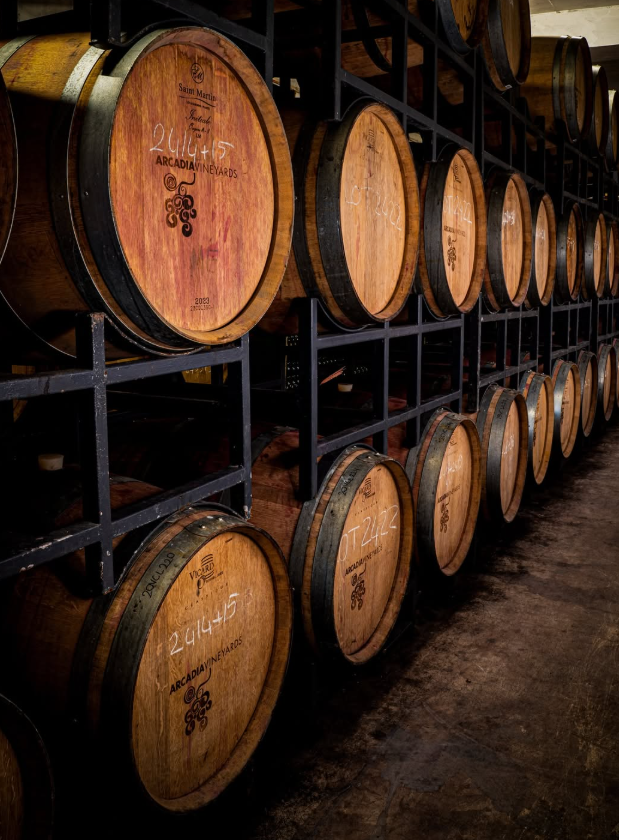 Wine Tasting & Vineyard Walk - Arcadia Vineyards