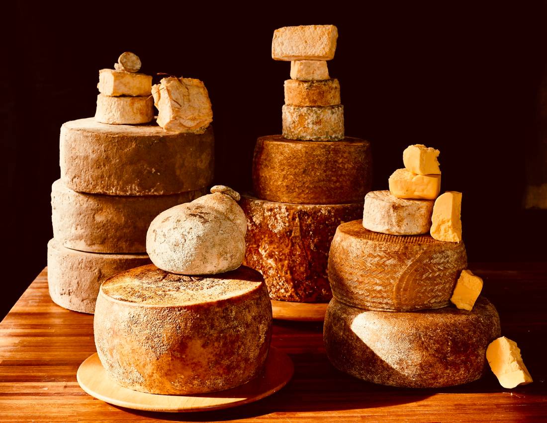 Artisan Cheese & Organic Farm Experience – La Vigna Láctea