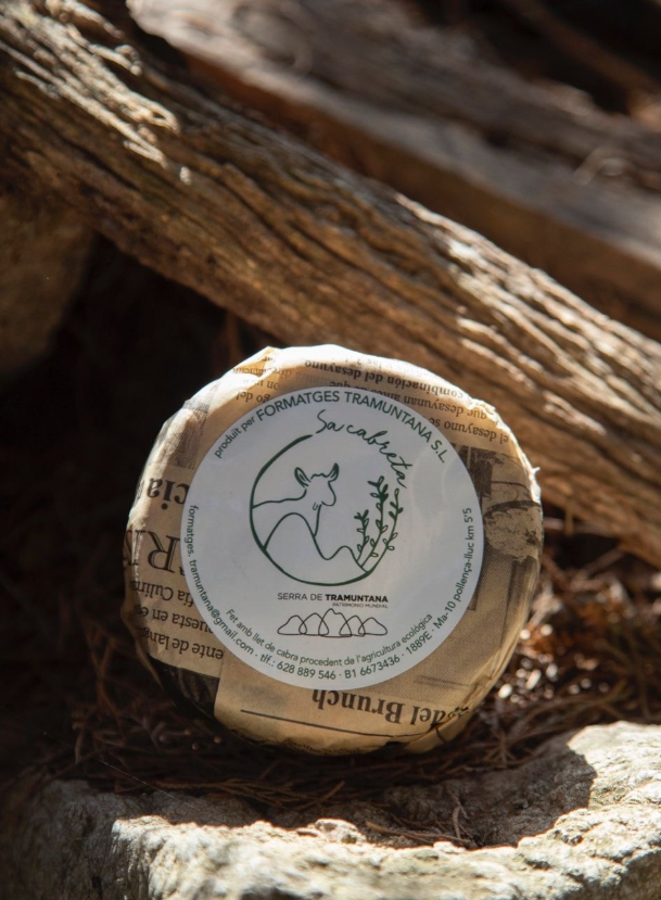 Guided Farm Visit & Cheese Tasting – Sa Cabreta