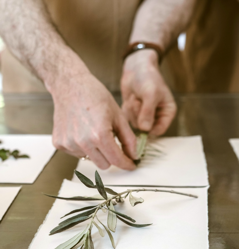 Botanical Print Workshop – Studio Fuga