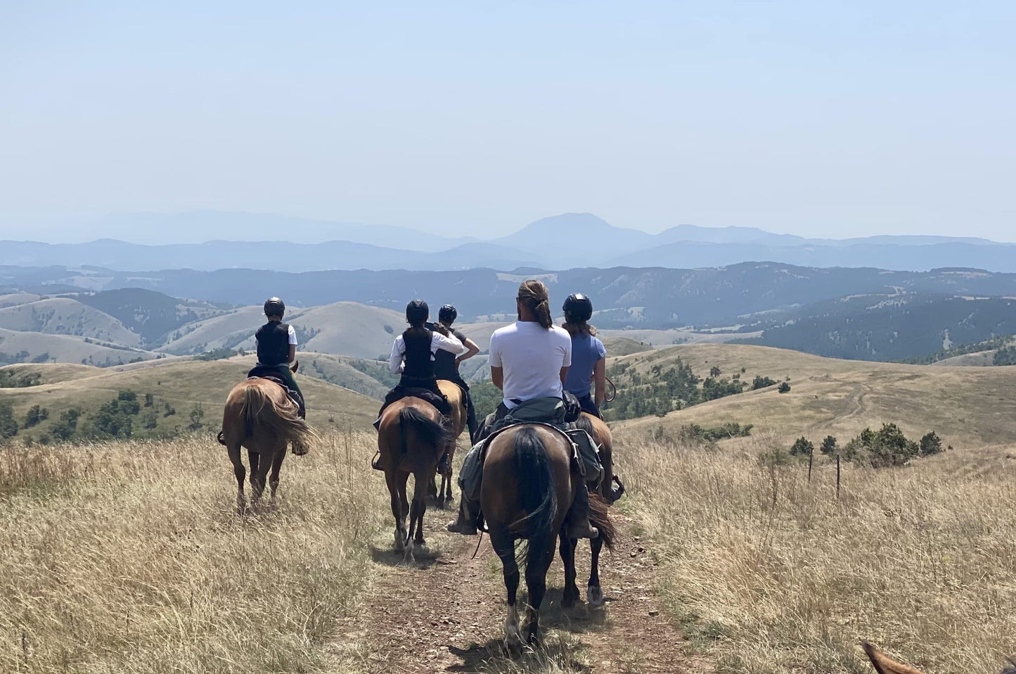 Šumadija Trail – Multi-Day Horseback Adventure