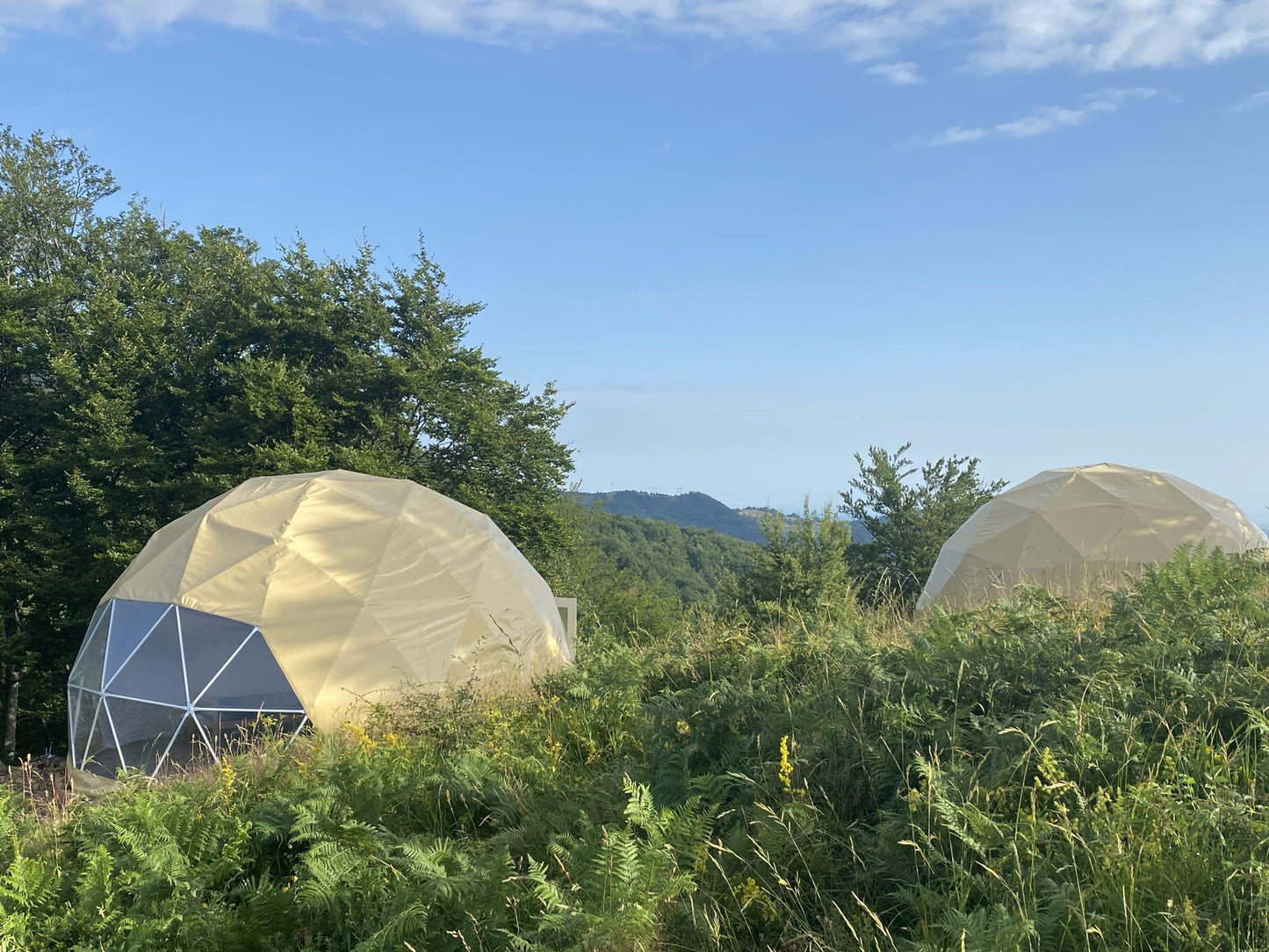 Šumadija Trail – Multi-Day Horseback Adventure