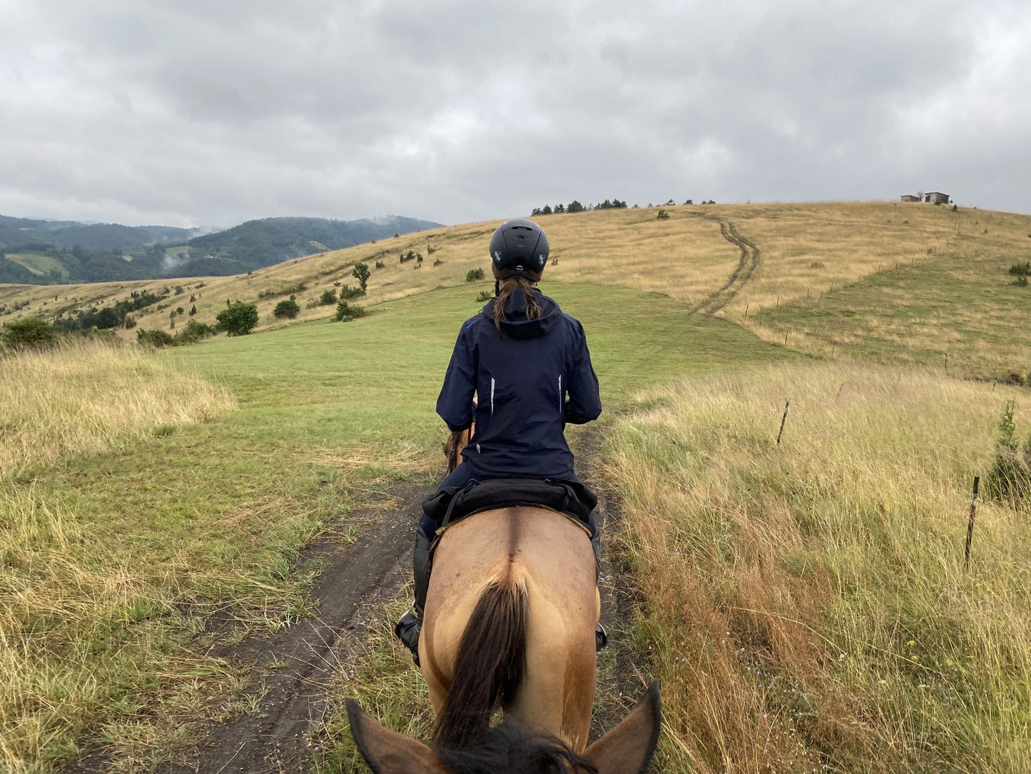 Šumadija Trail – Multi-Day Horseback Adventure
