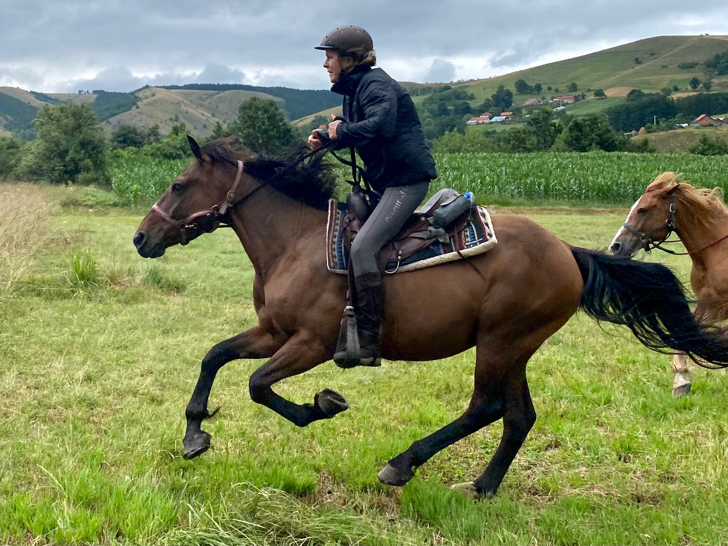 Šumadija Trail – Multi-Day Horseback Adventure