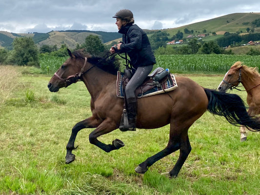 Šumadija Trail – Multi-Day Horseback Adventure