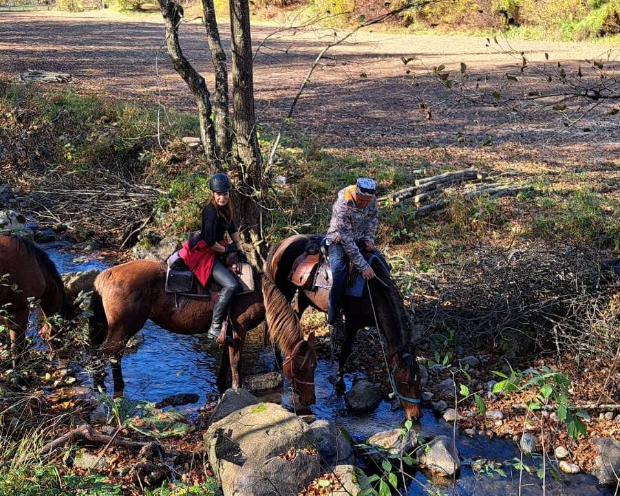 Povlen Mountain Horseback Ride – Day Adventure