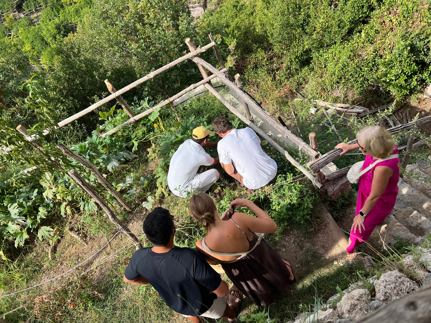 Garden Experience – Golden Dream Farm