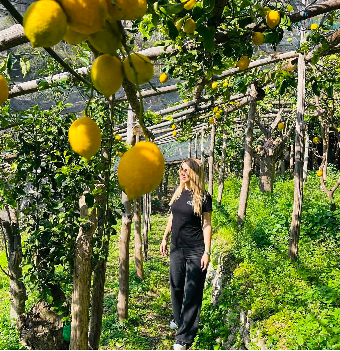 Garden Experience – Golden Dream Farm