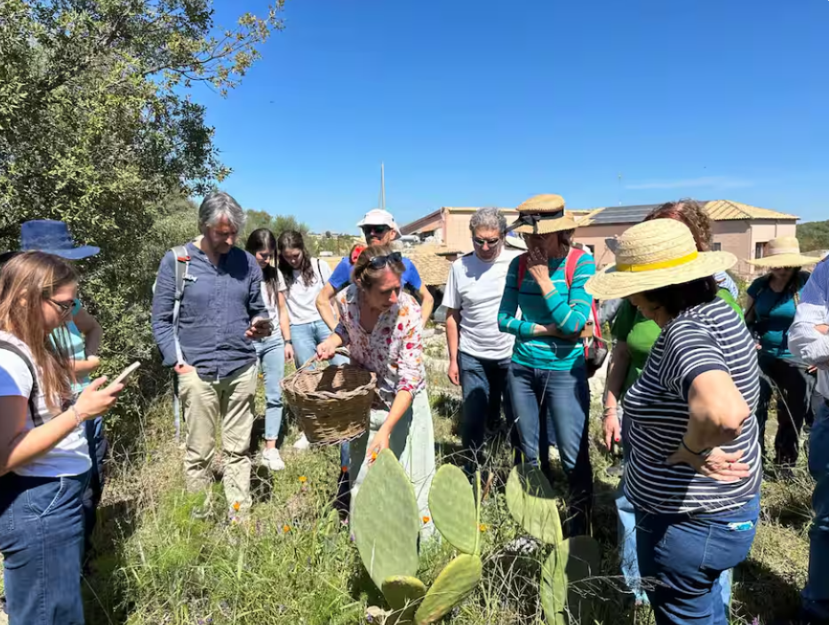 Medicinal Plants Experience & Natural Remedy Workshop – Agriturismo Stallaini