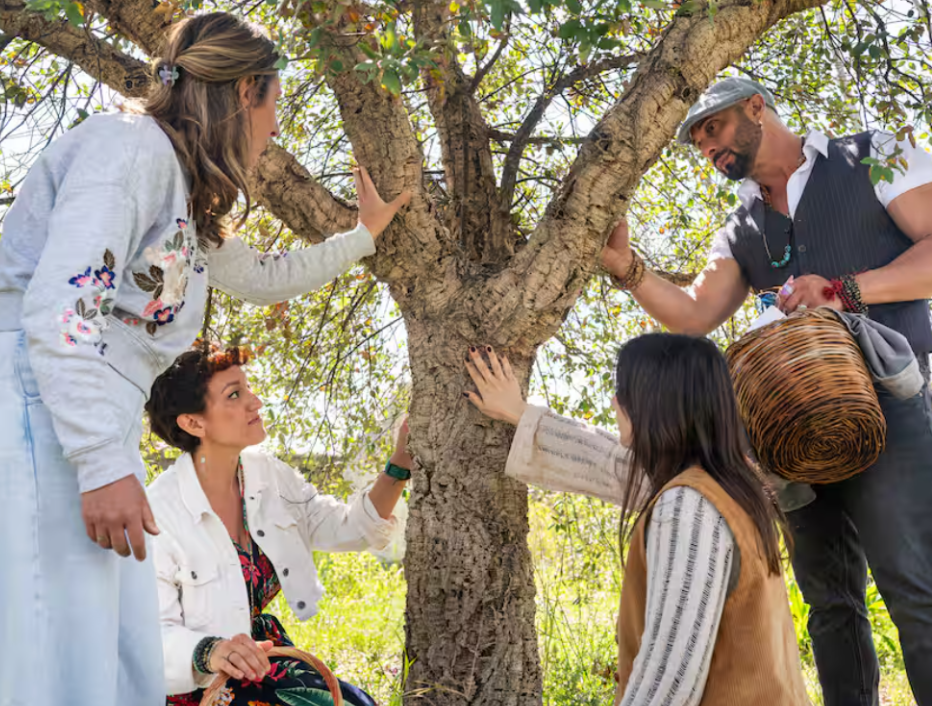 Medicinal Plants Experience & Natural Remedy Workshop – Agriturismo Stallaini