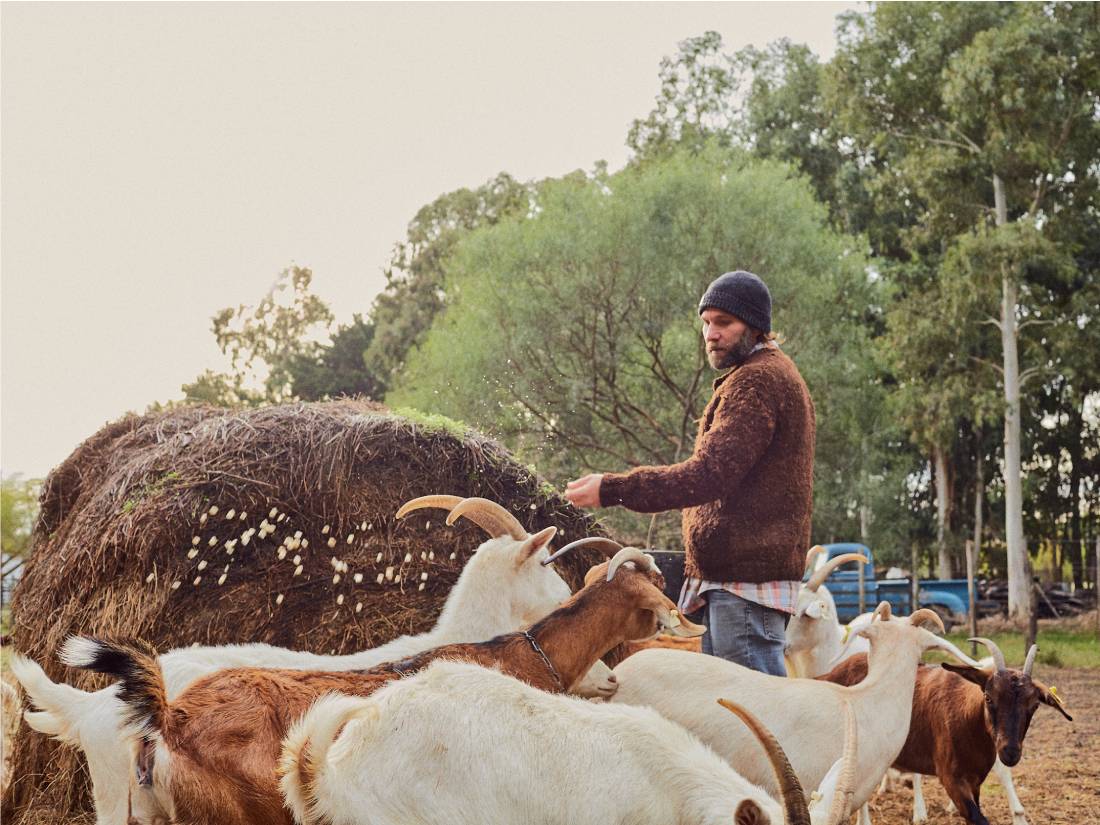 Artisan Cheese & Organic Farm Experience – La Vigna Láctea