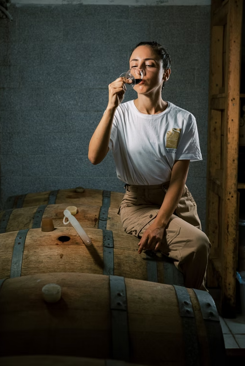 Wine tasting & Vineyard experience– Karimalis Estate