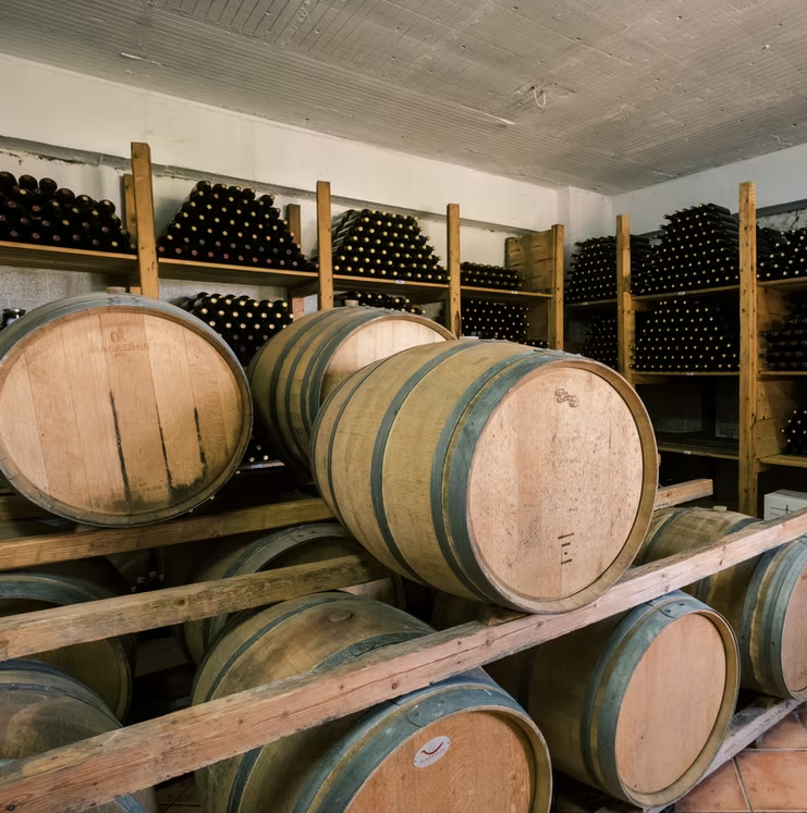 Wine tasting & Vineyard experience– Karimalis Estate