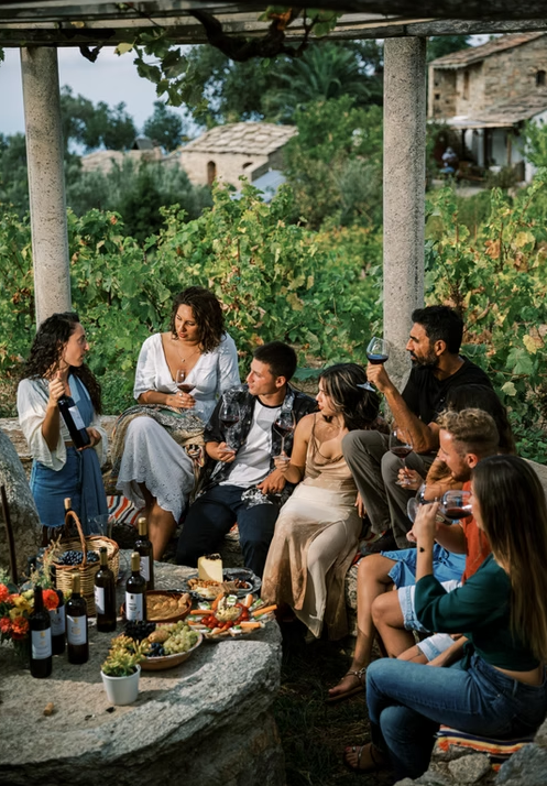 Wine tasting & Vineyard experience– Karimalis Estate