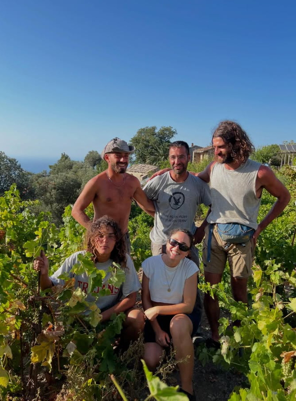 Wine tasting & Vineyard experience– Karimalis Estate