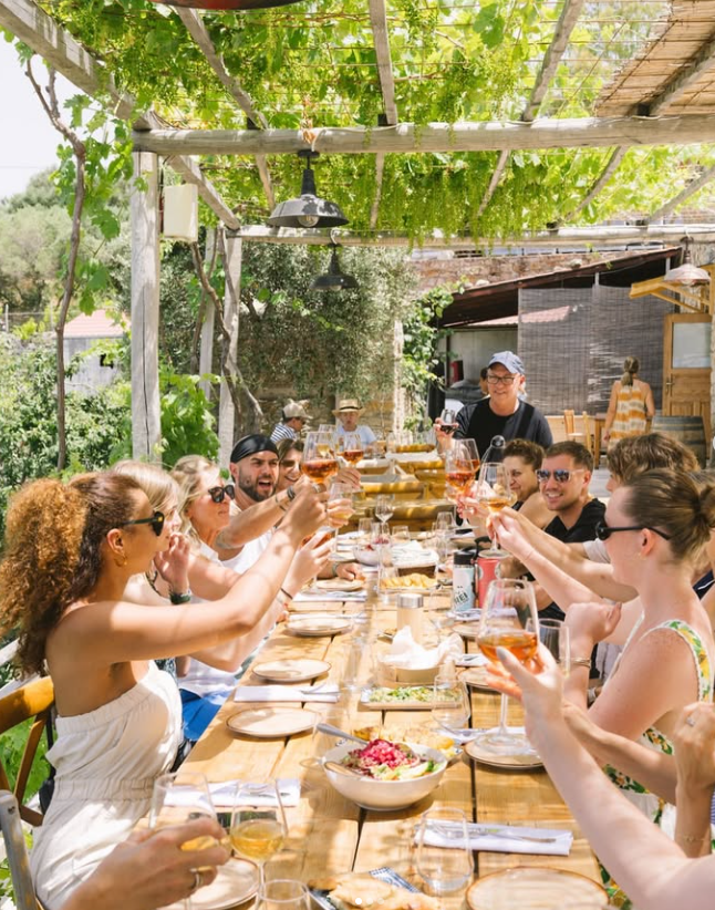 Wine tasting & Vineyard experience– Karimalis Estate