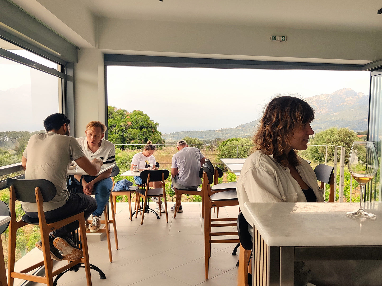 Organic Wine Tasting at Samos – Kostaki Winery