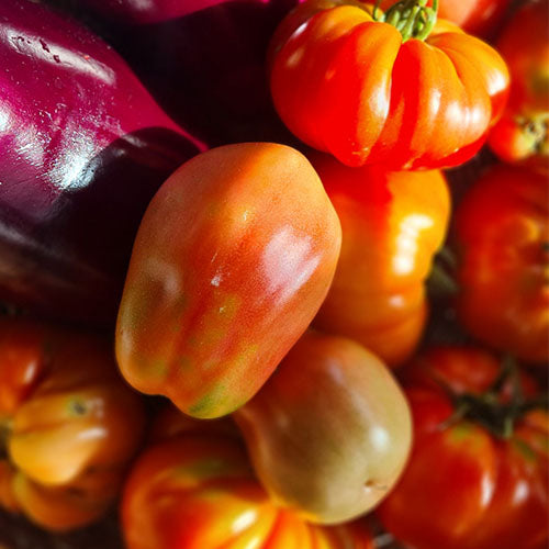 Italian Pizza Making Experience - Pozzillo Lemon House & Farm