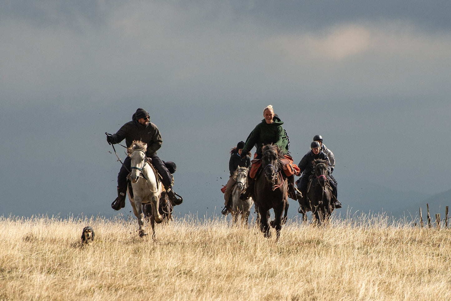 Taor Trail – Horseback Riding in Povlen Nature Reserve