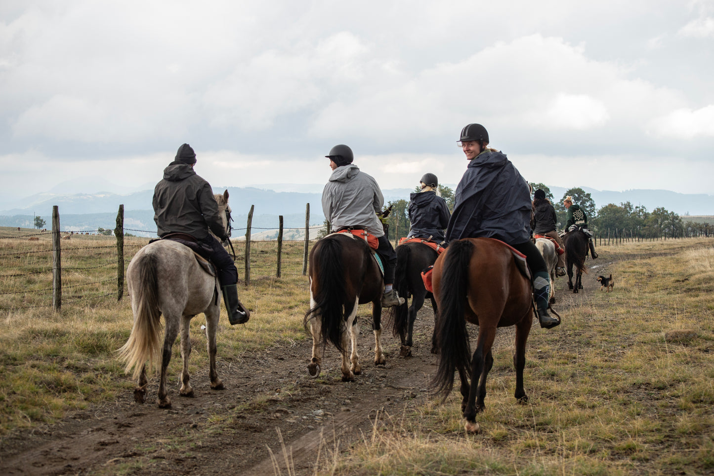 Tara Trail - Tara National Park