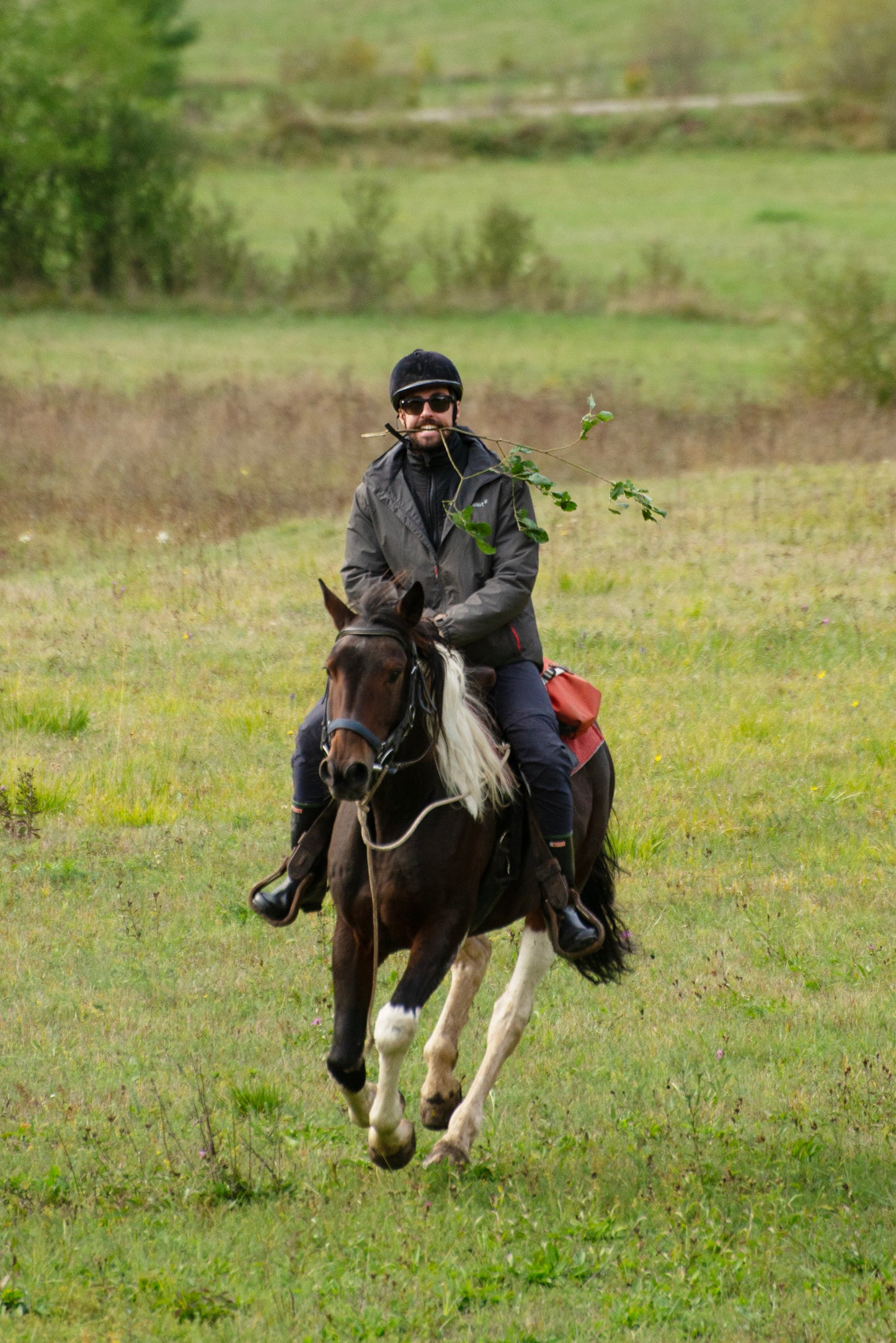 Taor Trail – Horseback Riding in Povlen Nature Reserve