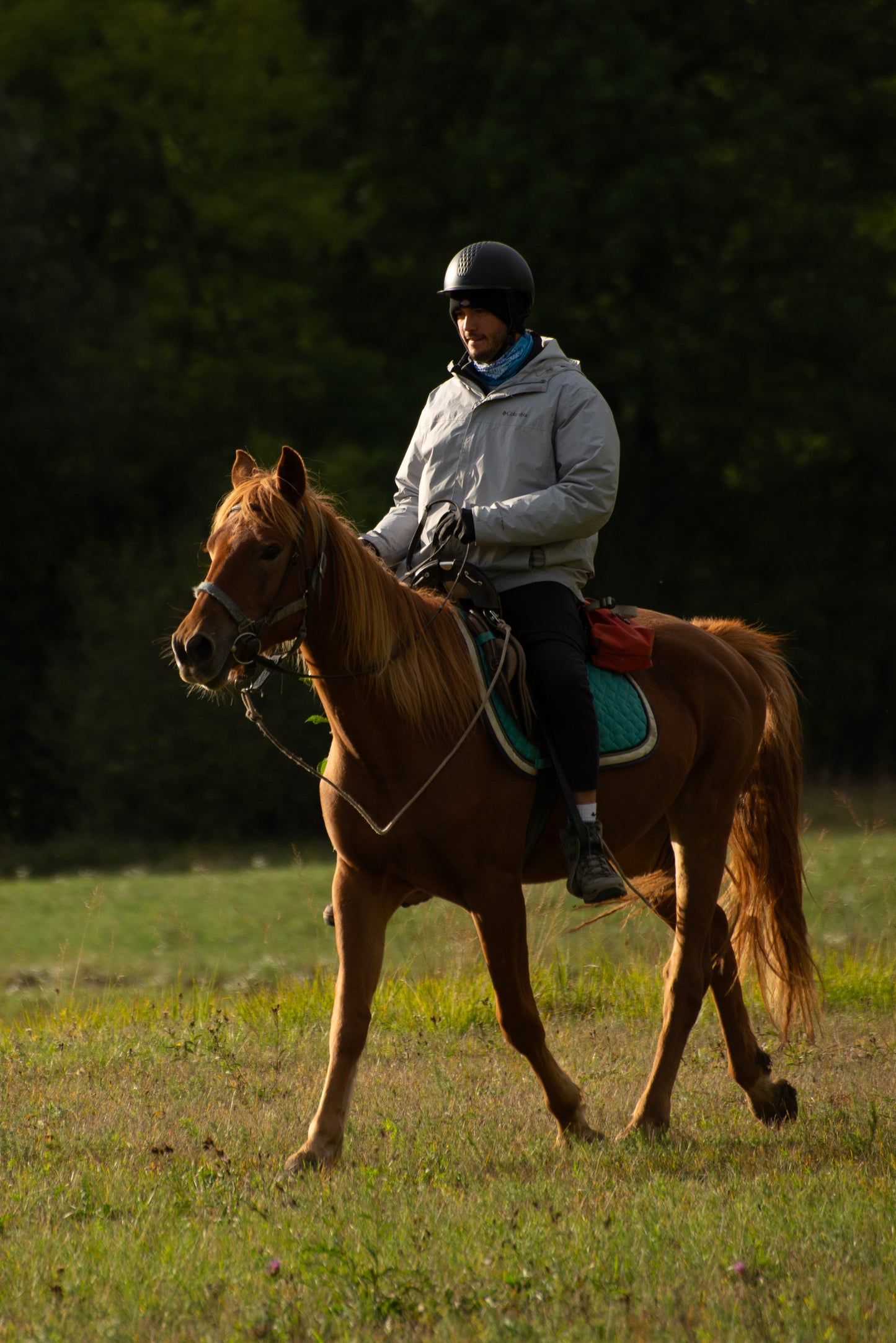 Povlen Mountain Horseback Ride – Day Adventure