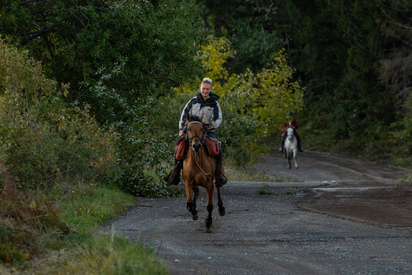 Povlen Mountain Horseback Ride – Day Adventure