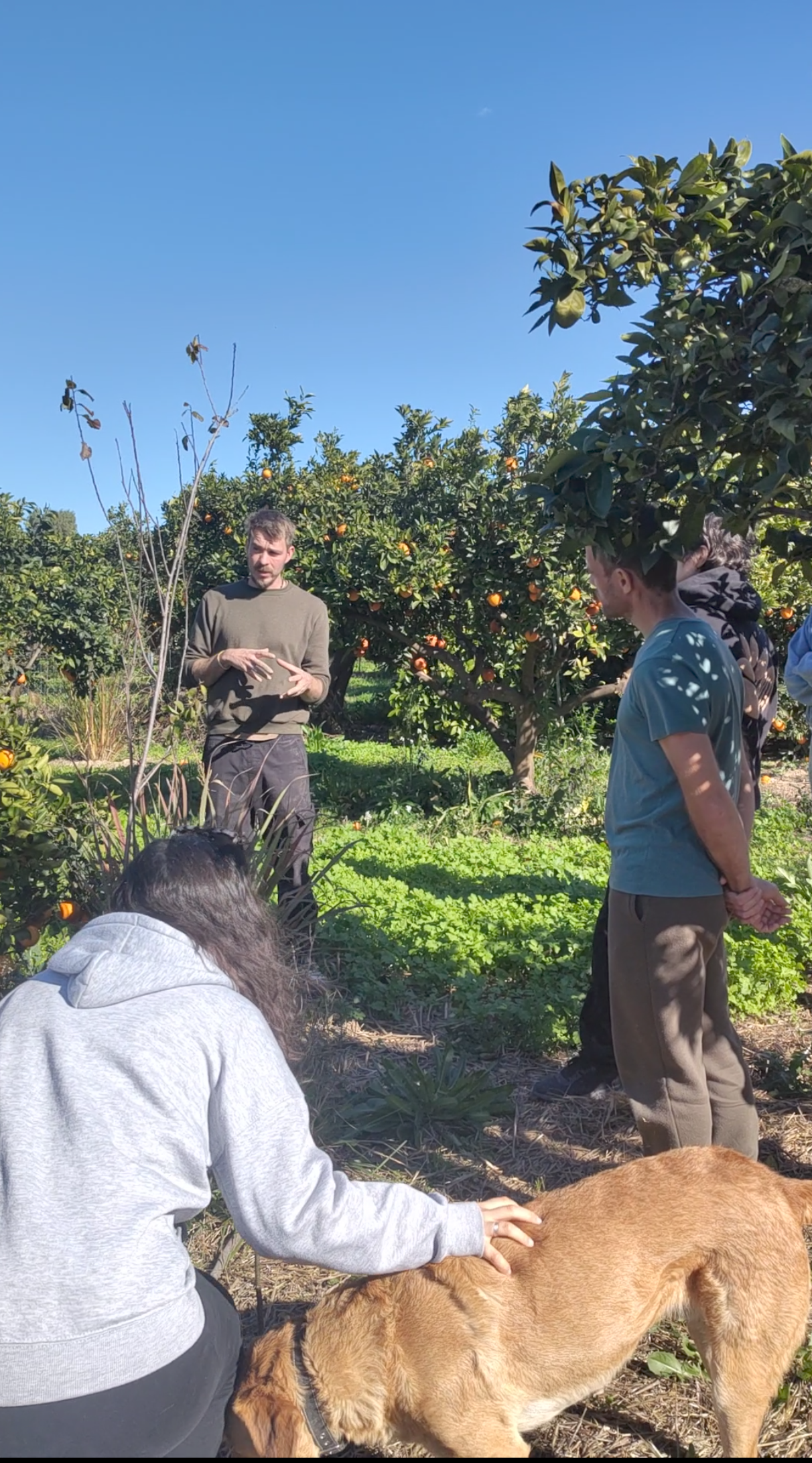 Regenerative Gardening & Permaculture Experience